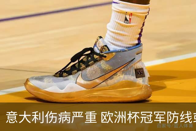 意大利伤病严重 欧洲杯冠军防线或全部无法上场